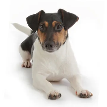 盛源彩票 APP 界面展示